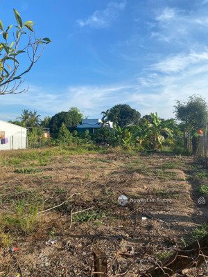 lô đất chính chủ đường ấp 3, xã phước đông, cần đước diện tích 172m2 sổ hồng riêng giá 450 triệu