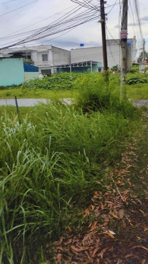 hàng ngộp. 90mv đường oto ngay trạm y tế xã phước lâm, giá 550 triệu còn tl.