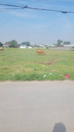 cần bán nền thổ cư liền kề hàng f0 mới ra lò mặt tiền đường ấp 4 mỹ yên bến lức long an