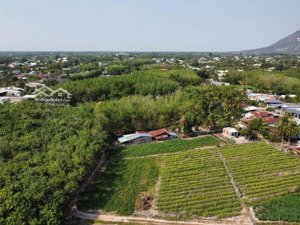 cách ubnd xã dương minh châu, tây ninh 700m - (5x25 - 360tr tl)