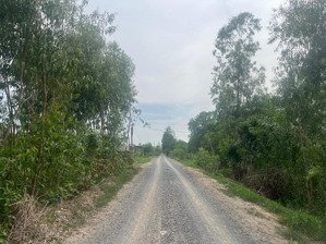 bán đất ở tại xã đức huệ, long an (cũ), 150 triệu, diện tích 300m2