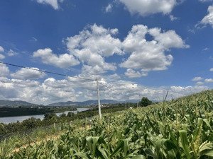 ngộp- đất view hồ phúc thọ sẵn thổ cư view đẹp