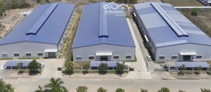 cho thuê kho xưởng 2400m2, trong kcn tân tạo. kho mới, pccc tự động