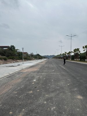 bán đất 175m2 full thổ cư - mặt đường tràng hương sát đường 42m