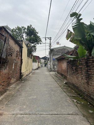 bán nhanh 50m2 đất tô khê phú thị oto vào giá nhỉnh 3 tỷ