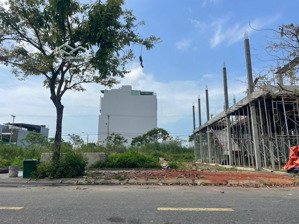 rẻ nhất khu vực ra nhanh cặp đất sạch đẹp cồn dầu 14