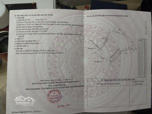 chính chủ bán đất rẫy điều già hơn 20 năm có sổ đỏ, xã thọ sơn bù đăng