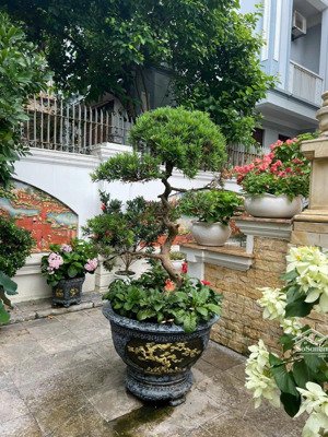 bán nhà biệt thự bãi tắm hòn gai , hạ long , quảng ninh