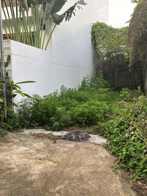 đất khu at vĩnh hải dt 71m2 cách sư vạn hạnh chỉ 20m đường ô tô 5m