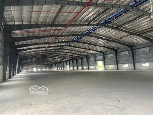 cho thuê kho xưởng kcn phú mỹ - brvt. cho thuê 40000m2 giá rẻ nhất kcn phú mỹ