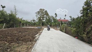 16 lô f0 tại kiều hạ, quốc tuấn giá từ 6xx triệu
diện tích: 50m2. ngang: 4,4m