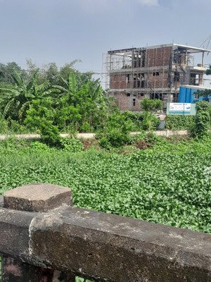 bán đất hưng nhơn, tân kiên, bình chánh, hcm giá tốt 20 triệu / m2, 900 m2