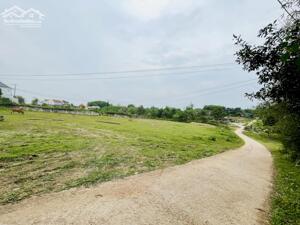 [CƠ HỘI CUỐI CÙNG SỞ HỮU 2000m2 DẠ LÊ] NGÂN HÀNG THANH LÝ