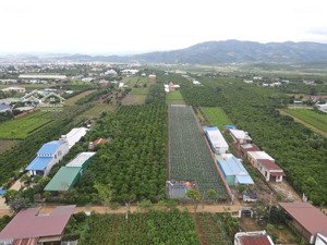 bán đất tại đường 27, xã bình thạnh, huyện đức trọng, giá cực chất 4,5 tỷ, 2890 m2