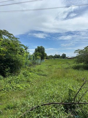 chủ cần tiền trước 15/3 bán gấp lô 96m2 chốt giá 475tr đ.năm ngói, mỹ lộc