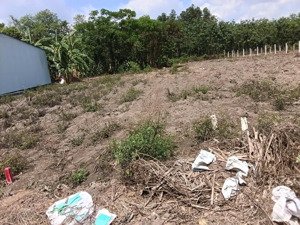 bán đất an bình, phú giáo, bình dương diện tích 175,2m²