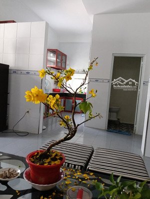 gần chợ, trường học gần khu vực trung tâm hành chính mặt tiền đường cao thị chính không ngập nước