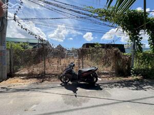 Bán đất Diên Sơn giá rẻ full thổ cư mặt đường Xóm Gò 7 cách chợ chỉ 500m - rộng rãi xây nhà vườn