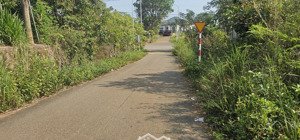 bán lô đất sào, thổ cư, trái cây đẹp rẻ nhất láng lớn