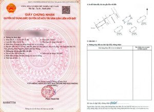 tổng hợp quỹ căn chuyển nhượng giá tốt nhất tại vinhomes vũ yên trong thời điểm tháng 3/2026