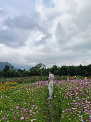 bán nhanh 10.000m2 đất làm nhà vườn đẹp tại đà nẵng