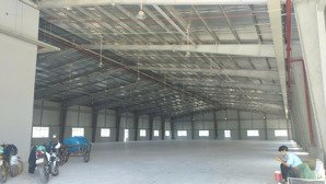 nhà xưởng cho thuê diện tích, 38.500m2, cắt lẻ trên 2000m2, 3000m2, 3980m2, 5000m2, kcn nhơn trạch