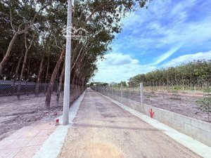 bán đất tại xã minh thành, huyện chơn thành, bình phước, giá tốt, 2616m2