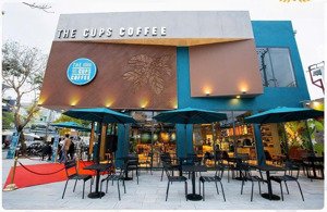 hiếm!!! cho thuê mbkd phố hoàng đạo thúy, dt 250m mặt tiền 12m siêu rộng, phù hợp nhà hàng cafe