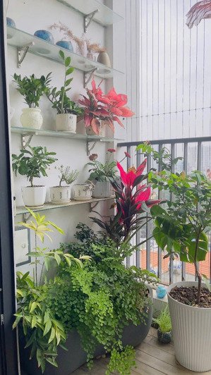 bán căn 2n2vs 77m2 chung cư five star kim giang, thanh xuân giá 7 tỷ 690 triệu