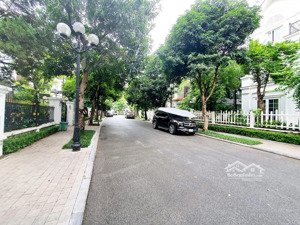 (hàng hiếm) - bán bt ven sông vinhomes riverside. 215m, sau nhà là sông lớn. chủ hạ chào chỉ 95 tỷ