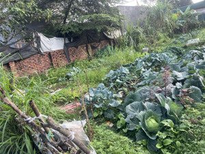 bán nhanh lô đất vuông mặt tiền rộng sổ đẹp -dt:58m full -hơn 2tỷ -ninh môn -hiền ninh-sóc sơn.