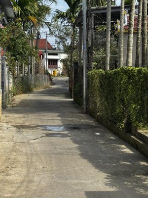 lô đất nằm ngay rừng dừa cẩm thanh