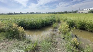 xã tân hiệp (cũ) - hóc môn hcm