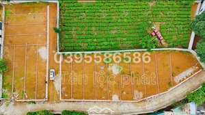 hot! quỹ đất xã an nghĩa, hòa bình cũ