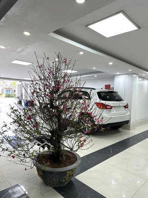 cho thuê nhà mặt phố vũ đức thận long biên diện tích 180m2 2 mặt tiền