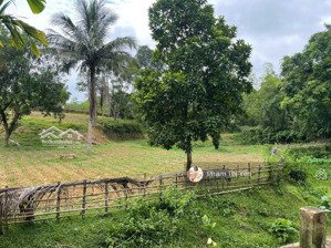 tổng dt: 2.235m2 có 400m2 ont còn lại cln tại xã cuối hạ kim bôi hoà bình. gần dự án sun. chính chủ