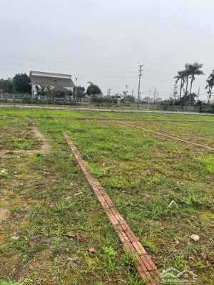 bán gấp đất 60m full thổ cư gần khu cnc hòa lạc sổ đỏ riêng ở cho thuê kinh doanh oto tránh