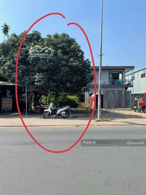 anh mình bán đất mặt tiền đường dh 32m ở bình dương (5*55) + 100m ont giá 650tr. shr, dân đông.