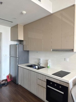 cho thuê căn 2 ngủ 2 vệ sinh toà masterise c. vinhomes smart city