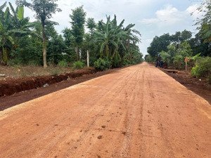 300 triệu còn thương lượng lô đất hơn 1000m2 tại đồng phú đồng nai, gần đường lớn vành đai 120m