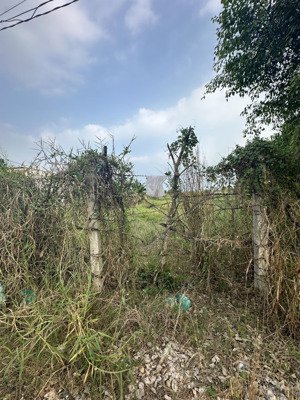 chính chủ ngộp gửi bán lô đất dt 89m2 full thổ shr giáp đường y tế b chốt giá 520tr