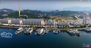 trí đại: danh sách quỹ căn chuyển nhượng tuần châu, view biển, mặt cảng, giá tốt nhất thị trường t3