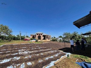 bán đất thổ cư sổ hồng tại lộc an