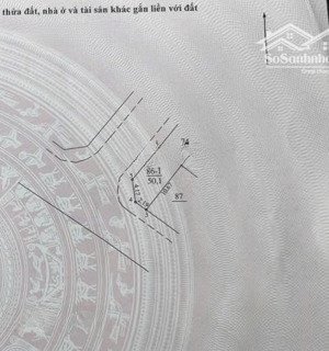 chính chủ bán nhanh 50m lô góc đất dịch vụ an thọ an khánh giá chỉ hơn 10 tỷ