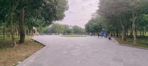 bán biệt thự 150m2 4 tầng ô tô tránh, kđt tasco foresa xuân phương giá đầu tư chỉ 34 tỷ 