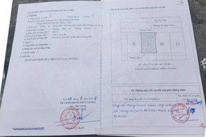 hot! bán đất nền tại cẩm bình, cẩm phả, quảng ninh, 23 triệu/m2, 250m2