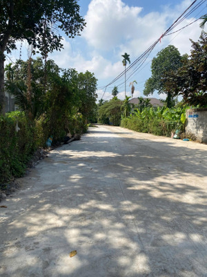 cần bán đất (2055m2) 69,6 mét ngang mặt sông cù lao hiệp hoà nay thuộc phường trấn biên