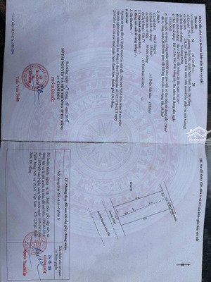 đất biển giá tốt nguyễn hữu cầu