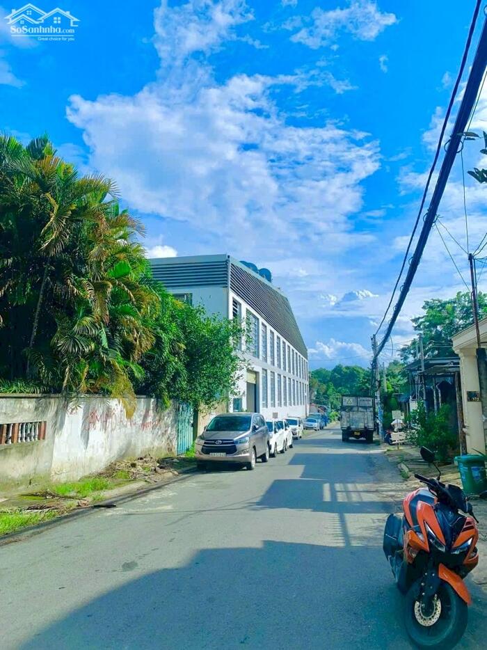 Hình ảnh Bán đất phường Tân Hiệp, sau lưng showroomToyota Biên Hòa sổ hồng 525m2 thổ cư giá 14.3 tỷ 6