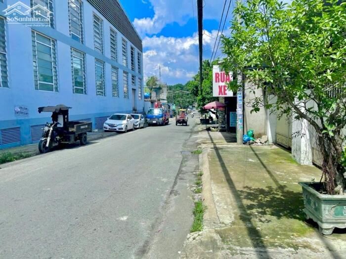 Hình ảnh Bán đất phường Tân Hiệp, sau lưng showroomToyota Biên Hòa sổ hồng 525m2 thổ cư giá 14.3 tỷ 5